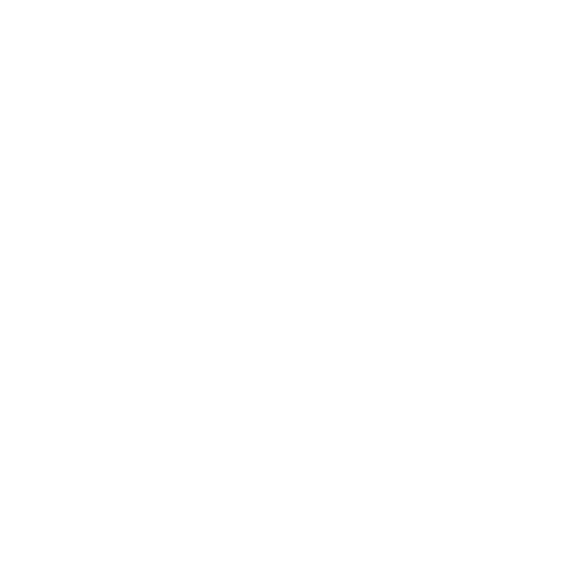 The Balinese Touch Logo